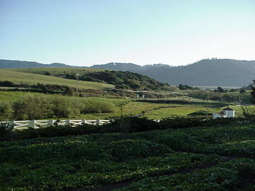 Point Reyes Vineyard Inn California City Exterior foto