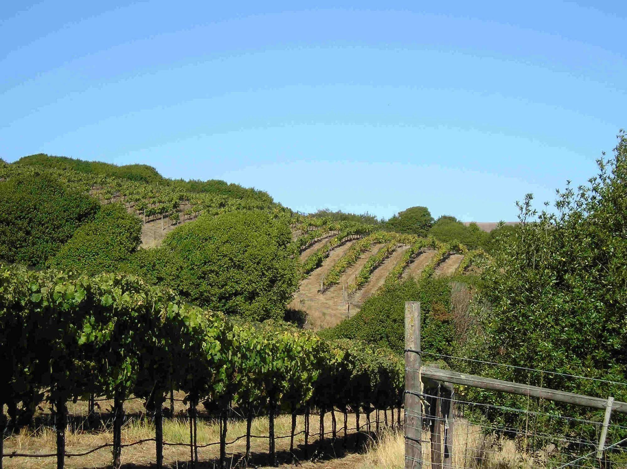 Point Reyes Vineyard Inn California City Exterior foto